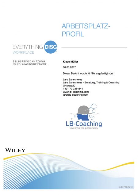 Everything DiSC® Arbeitsplatz-Profil – Bild 2