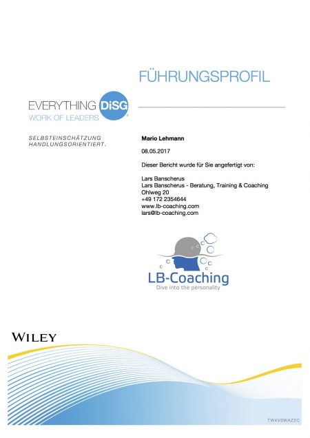 Everything DiSC® Sales-Profil – Bild 2